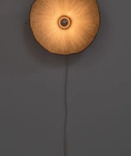 Kora kokos keramicko sjenilo zidna lampa Koshmar design