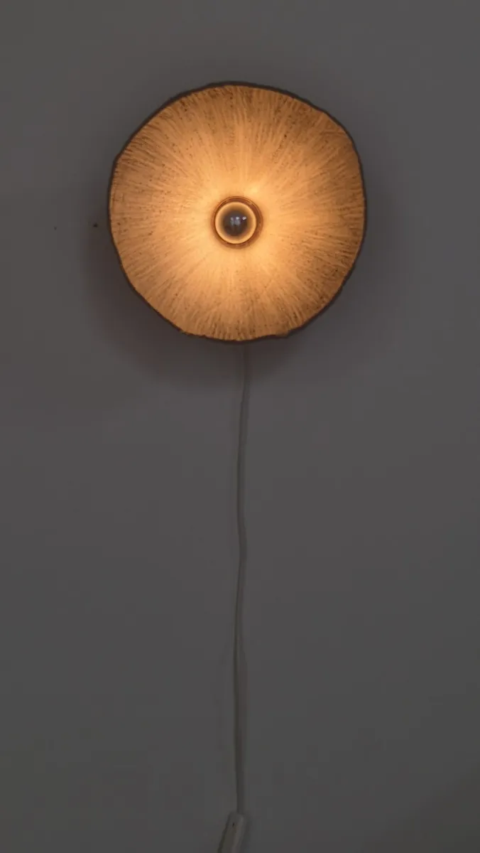 kora-kokos-1-glavna Kora kokos keramicko sjenilo zidna lampa Koshmar design
