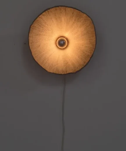 Kora kokos keramicko sjenilo zidna lampa detalj Koshmar design